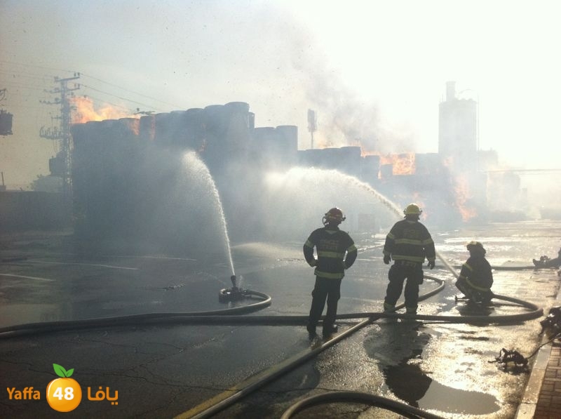 fireludkartoonmasna34 (54).JPG